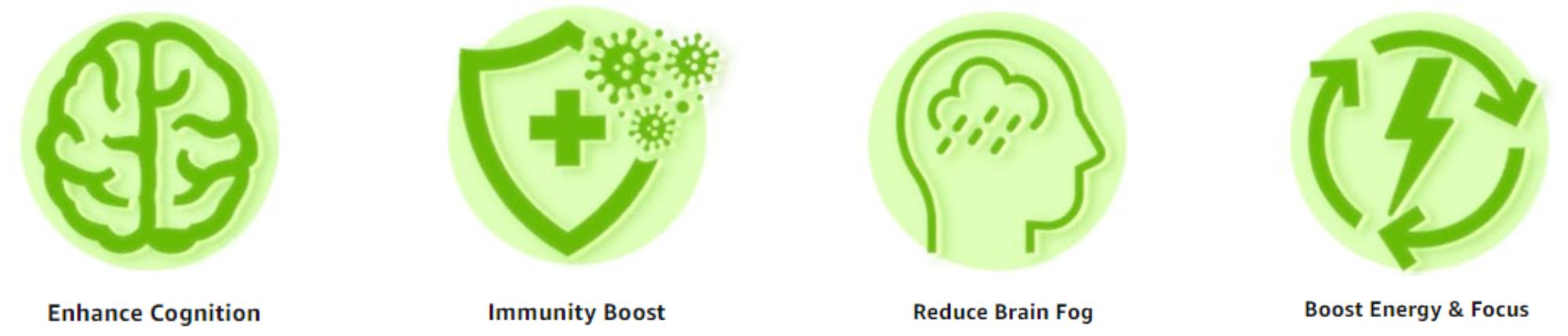 MAJU Organic Mental Mushrooms (80g) - Edible Dietary Nootropic Supplement, Chaga, Reishi, Cordyceps & Lion's Mane for Healthcare, Mental Fitness