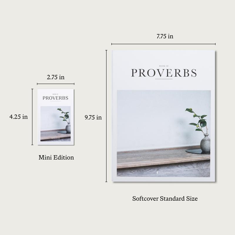 Alabaster Wisdom Pairing: Psalms & Proverbs - Hardcover christian books bible