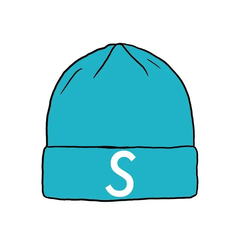 Supreme New Era Swarovski S Logo Beanie, from StockX