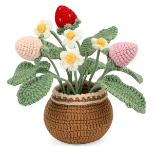 Strawberry Crochet Kit for Beginners - DIY Potted Plant Crafts Kit,Craft Knitting Crocheting Kits with Tutorial,Holidays Gift for Home Decoration