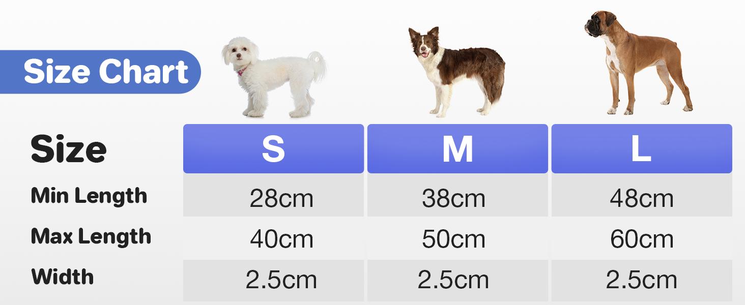 Light-Up Dog Collar,Rechargeable LED Dog Collar ,Durable and Waterproof Adjustable,for Night Walking, Glowing Dog Collar for Enhanced Visibility & Safety, Gift for Pets, Dog Accessories