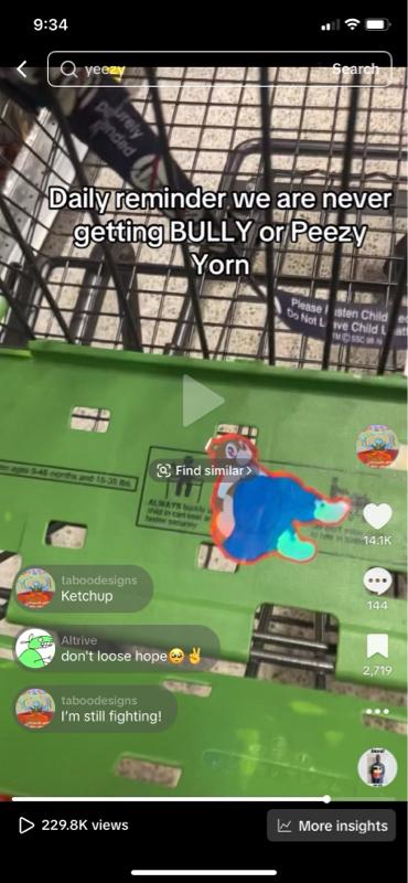 Peezy Yorn Sticker Pack Custom Made Holographic Adorable Bear Design Durable Viral Lifestyle Stickers 5ct