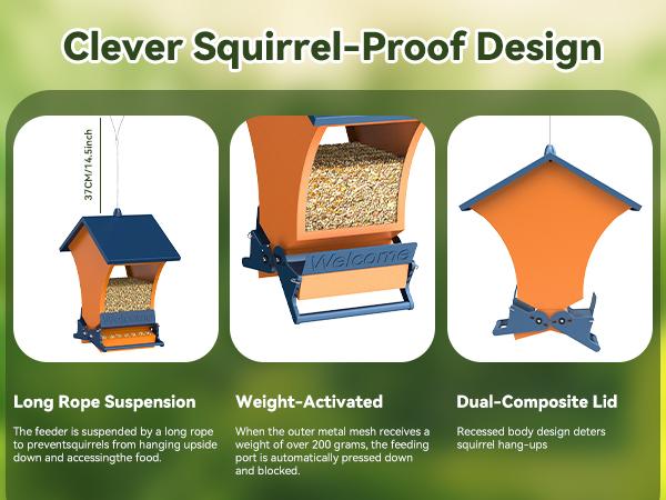 Squirrel-Proof Bird Feeder Wildpark petlovers – Bright Orange, Backyard Feeder for Cardinals & Chickadees, Durable & Easy to Hang, Perfect Spring Gift for Nature Lovers Squirrel-Proof Bird Feeder Wildpark petlovers – Bright Orange, Backyard Feeder for Cardinals & Chickadees, Durable & Easy to Hang, Perfect Spring Gift for Nature Lovers
