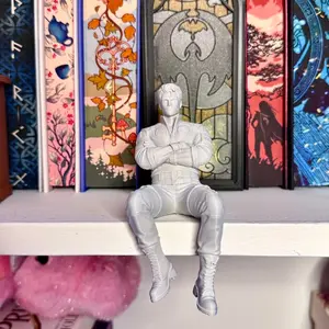 Xaden inspired Bookshelf Decor