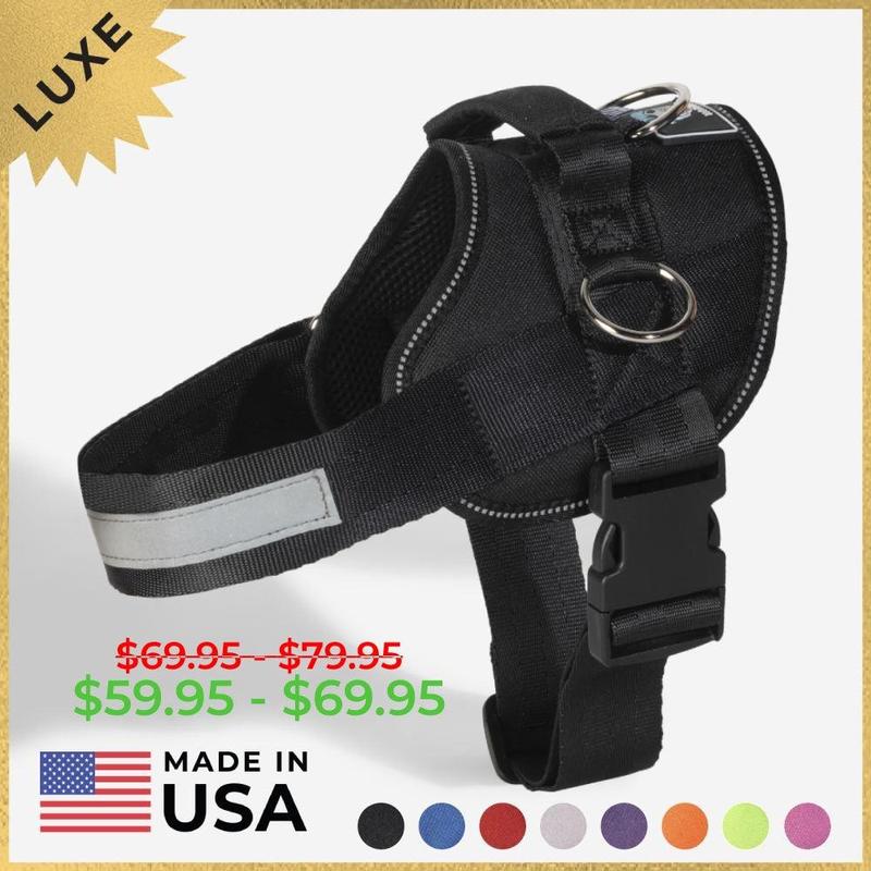 Joyride LUXE Dog Harness Made in the USA, Premium Quality with Side Rings, 3 Leash Attachment Points, Reflective Features for Large and Small Dogs