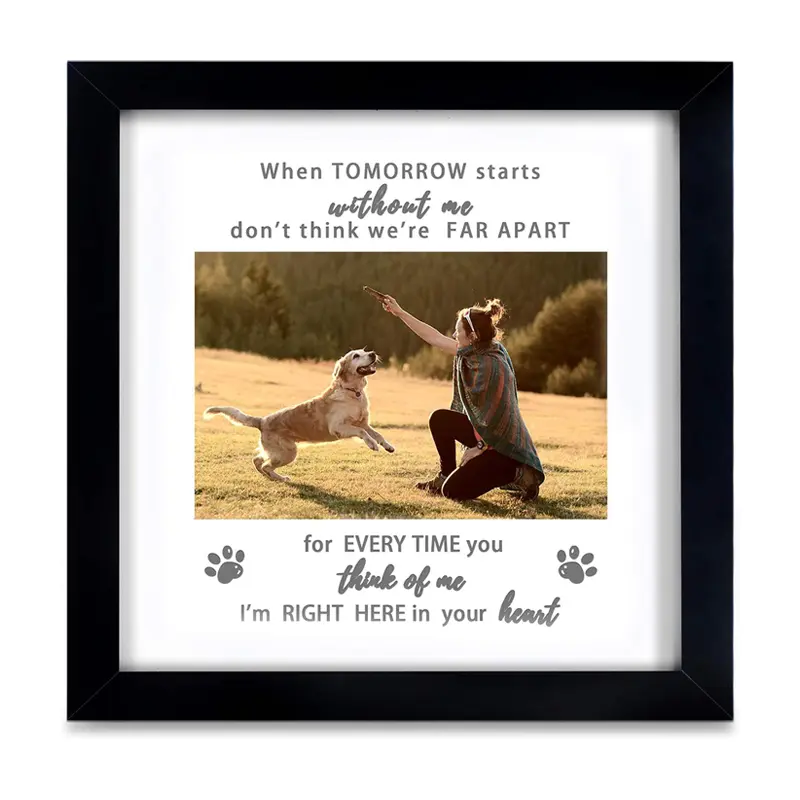 Memorial Picture Frame for Pet Loss Gift - Remembrance Frame for Dog or Cat with Sympathy Tribute Keepsake(9x9 frame)