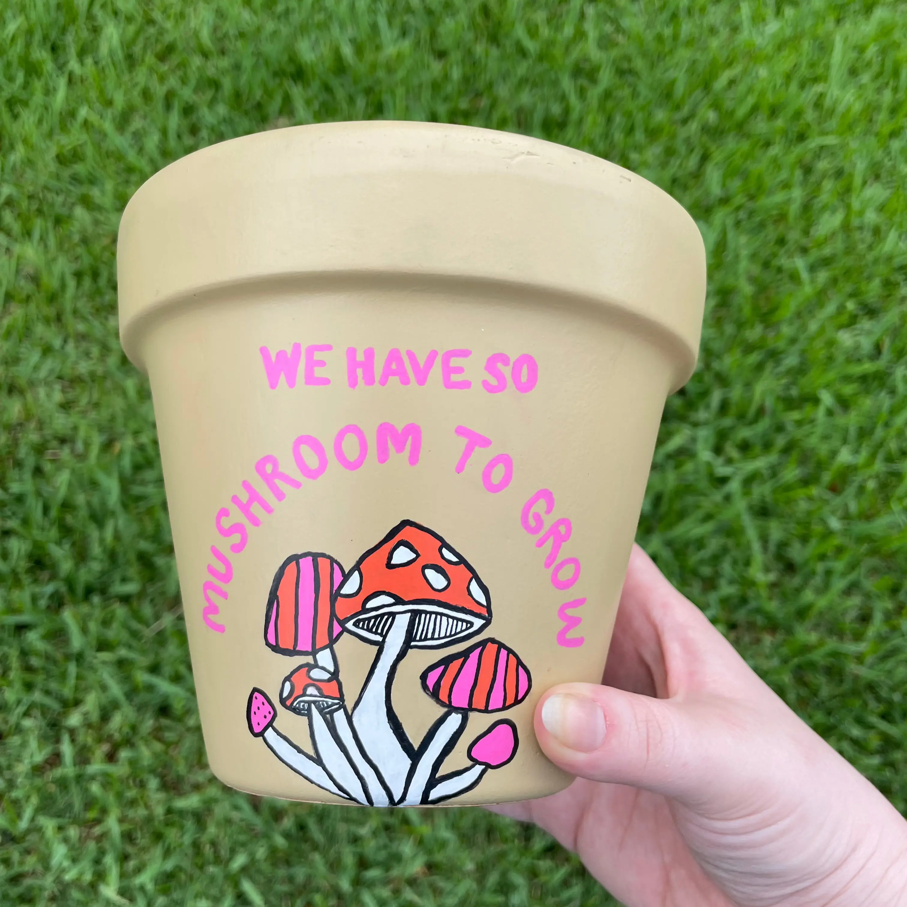 We Have So Mushroom to Grow Hand-Painted Terracotta Pot