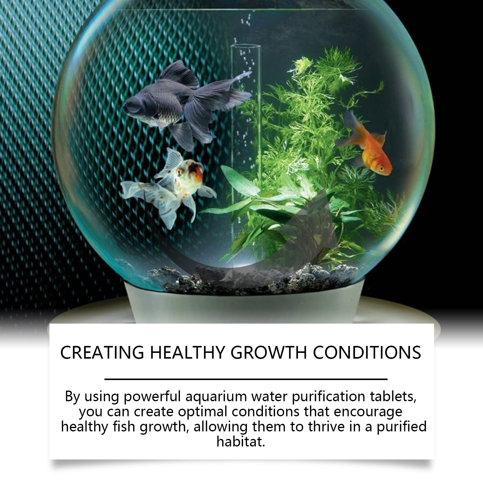 Aquarium Water Purification Tablets, Water Quality Dedicated To Clean Deodorizing Algae Stains Sludge Clear Fish Pond Aquarium Water Purification Tablets for Fish Pond Cleaner Eliminates Cloudy Substances Safely Removes Algae Stains Aquarium Water Purification Tablets, Water Quality Dedicated To Clean Deodorizing Algae Stains Sludge Clear Fish Pond Aquarium Water Purification Tablets for Fish Pond Cleaner Eliminates Cloudy Substances Safely Removes Algae Stains