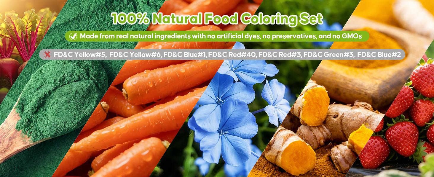 4 Natural Liquid Food Coloring 0.25 Fl Oz (6ml) /bottle, FD&C Free ，Dye Free Plant Based Food Coloring, Vegan Food Coloring for Cake, Frosting, Fondant & Easter Egg Decorating Baking