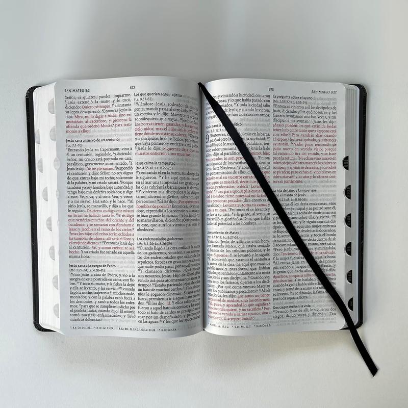 Biblia RVR 1960 letra grande tamaño manual, tapa dura León de Juda con índice / Spanish Bible RVR 1960 Handy Size Large Print Hardcover Lion of Judah with In (Spanish Edition)