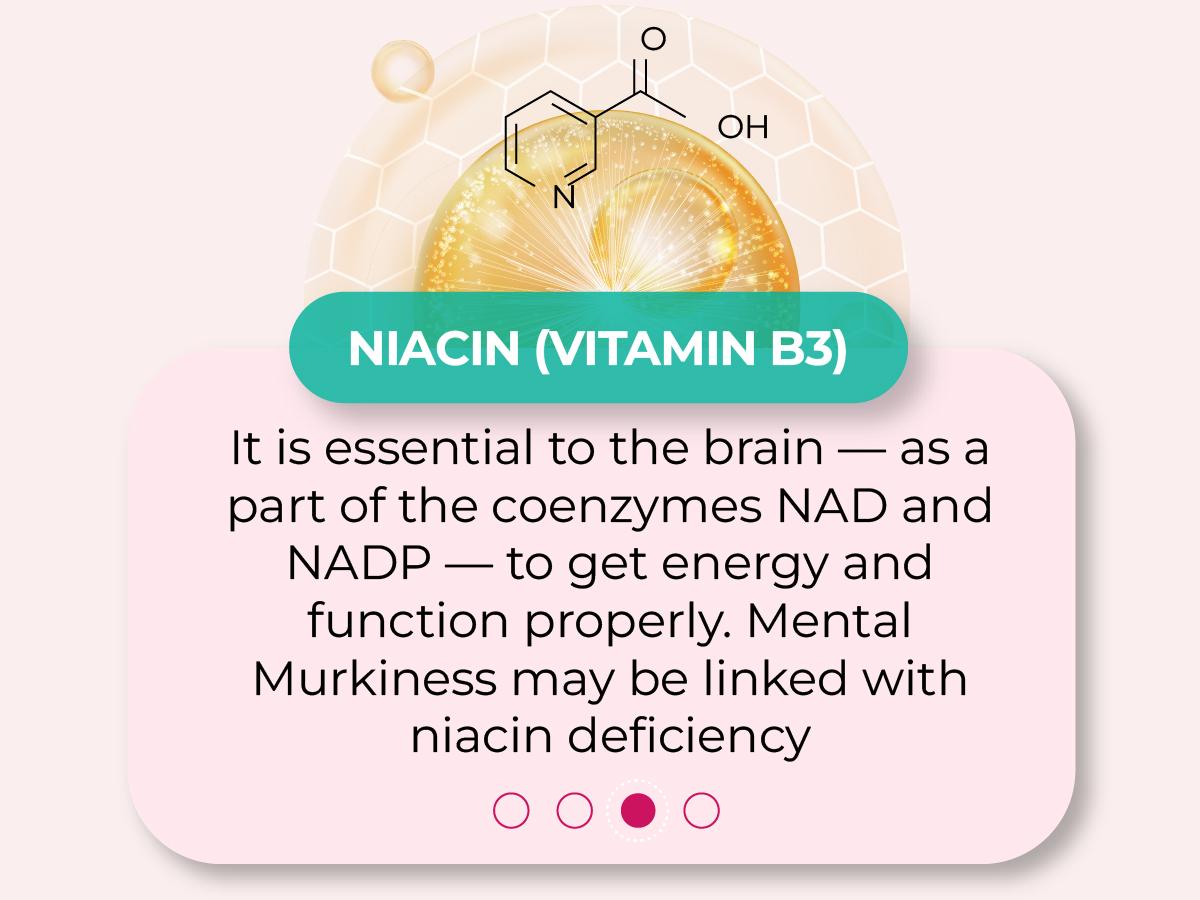 Ageless Brain Supplements for Memory and Focus by PUREHEALTH RESEARCH - Nootropic Brain Supplement - Brain Health Supplements for Adults - with Vitamin B6, Niacin, Alpha GPC & More, 60 Capsules Fitness Edible Dietary Healthcare