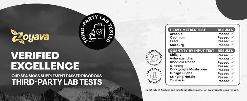 Zoyava Shilajit Supplement - All-in-One Multivitamin Energy Booster - with Ashwagandha, Rhodiola Rosea & 7+ Extra Strength Herbal Ingredients - 60 Capsules - MADE IN USA