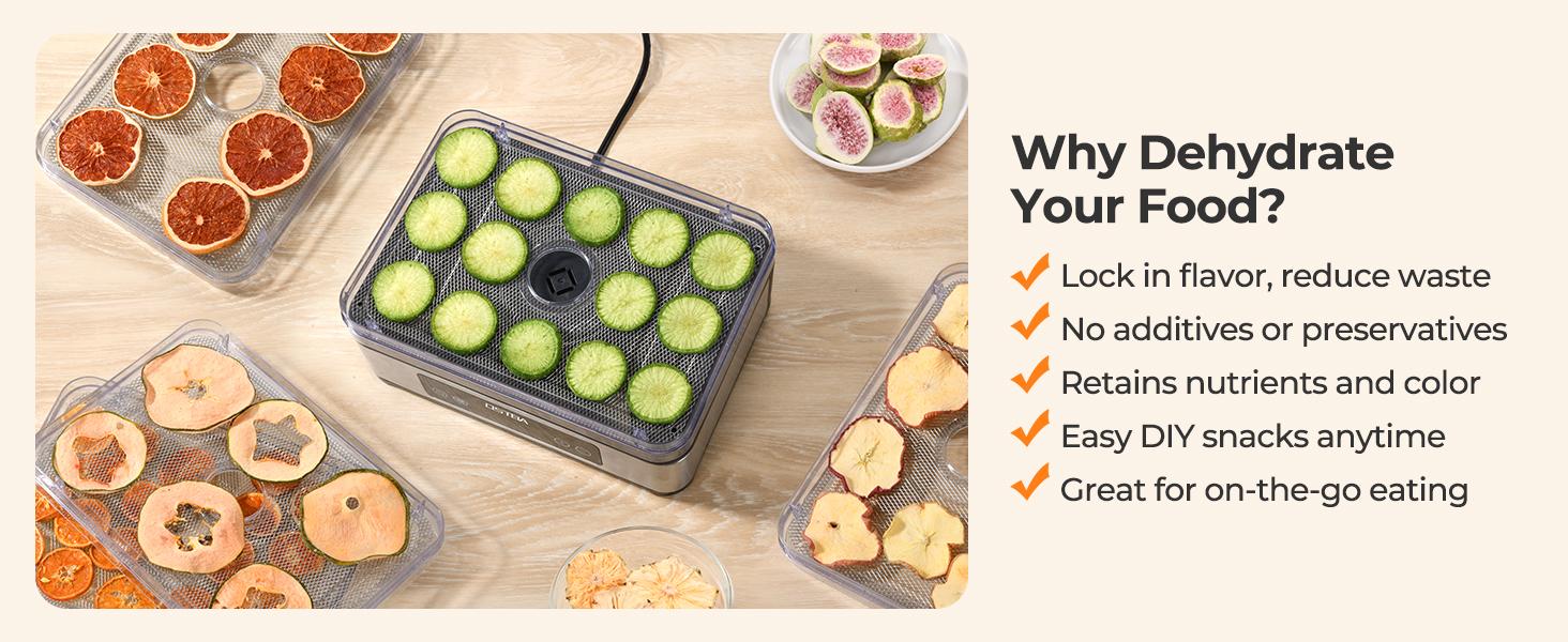 OSTBA Food Dehydrator, 5 Stainless Steel Trays, 400W Powerful Drying, 48H Timer & 95–160°F Temp Control, Quiet Small Dryer for Jerky, Fruits, Herbs, Mushrooms, BPA-Free, Recipes Included