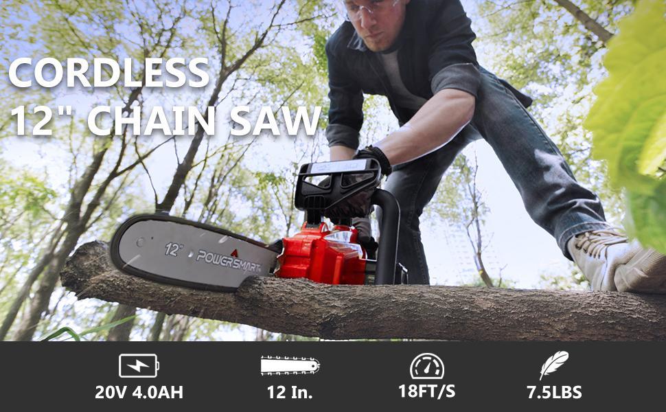 PowerSmart Cordless Chainsaw, 20V 12-Inch Electric Chainsaw with Auto Chain Tension & Lubrication, Battery Powered Chain Saw For Wood Cutting & Trimming (4Ah Battery And Fast Charger Included)(PS76122A)