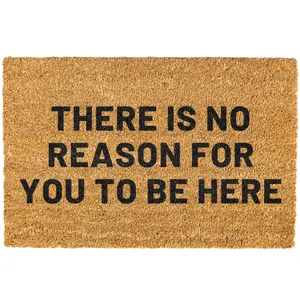 There Is No Reason For You To Be Here Doormat, Funny Doormat, Welcome Mat, Funny Door mat
