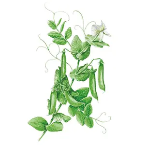 Sugar Snap Snap Pea Seeds