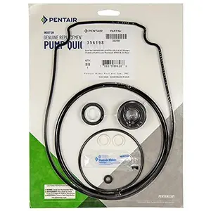356198 Pentair Pump Seal Quick Kit Whisperflo Intelliflo
