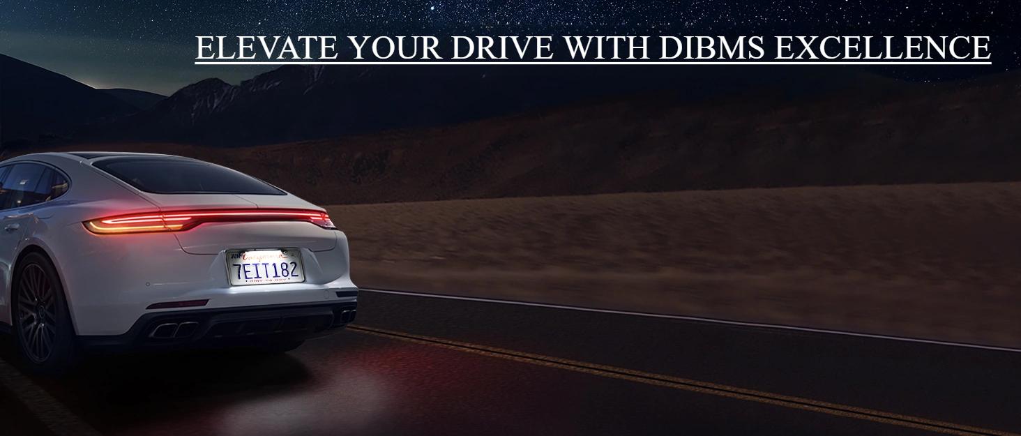 DIBMS License Plate LED Light, Extremely Bright Assembly for Trailer UTV ATV Truck RV Boat, Xenon White(6000K)