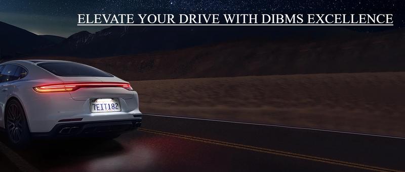 DIBMS License Plate LED Light, Extremely Bright Assembly for Trailer UTV ATV Truck RV Boat, Xenon White(6000K)