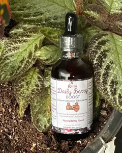 Daily Berry - Elderberry Herbal Drops for Children, Adult, Immune Support for Cough, Cold, Congestion