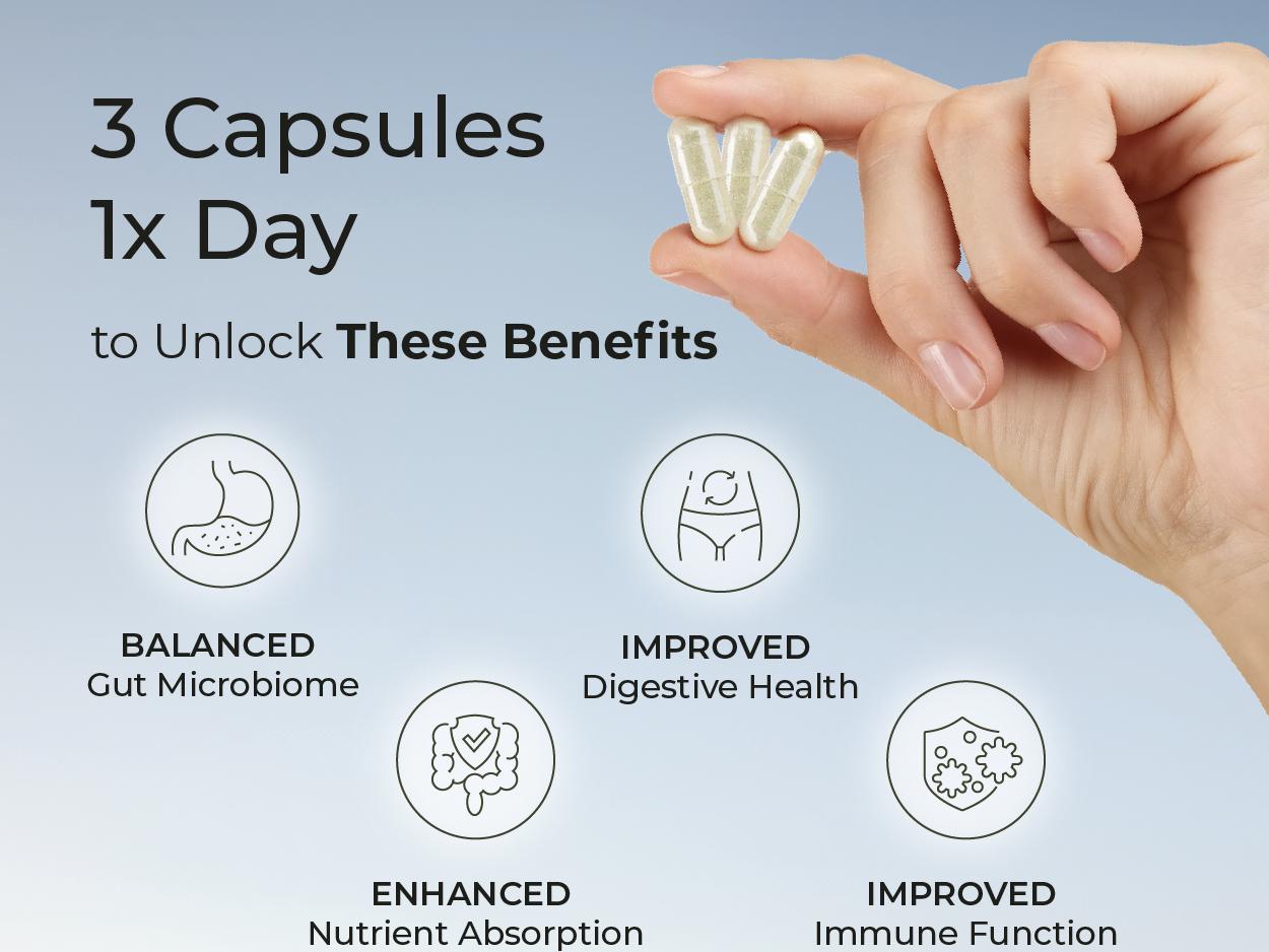 Improbiome Prebiotic Supplements by PUREHEALTH RESEARCH - Natural Support for Healthy Gut Biome Prebiotics - Digestive Nutritional Supplements - 90 Capsules Fitness Edible Healthcare Dietary