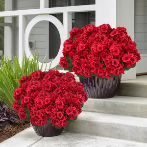 8 Pcs Artificial Red Geranium Flowers UV Resistant Silk Fake Plants for Outdoor Garden Christmas Home Kitchen Table Centerpieces Decor