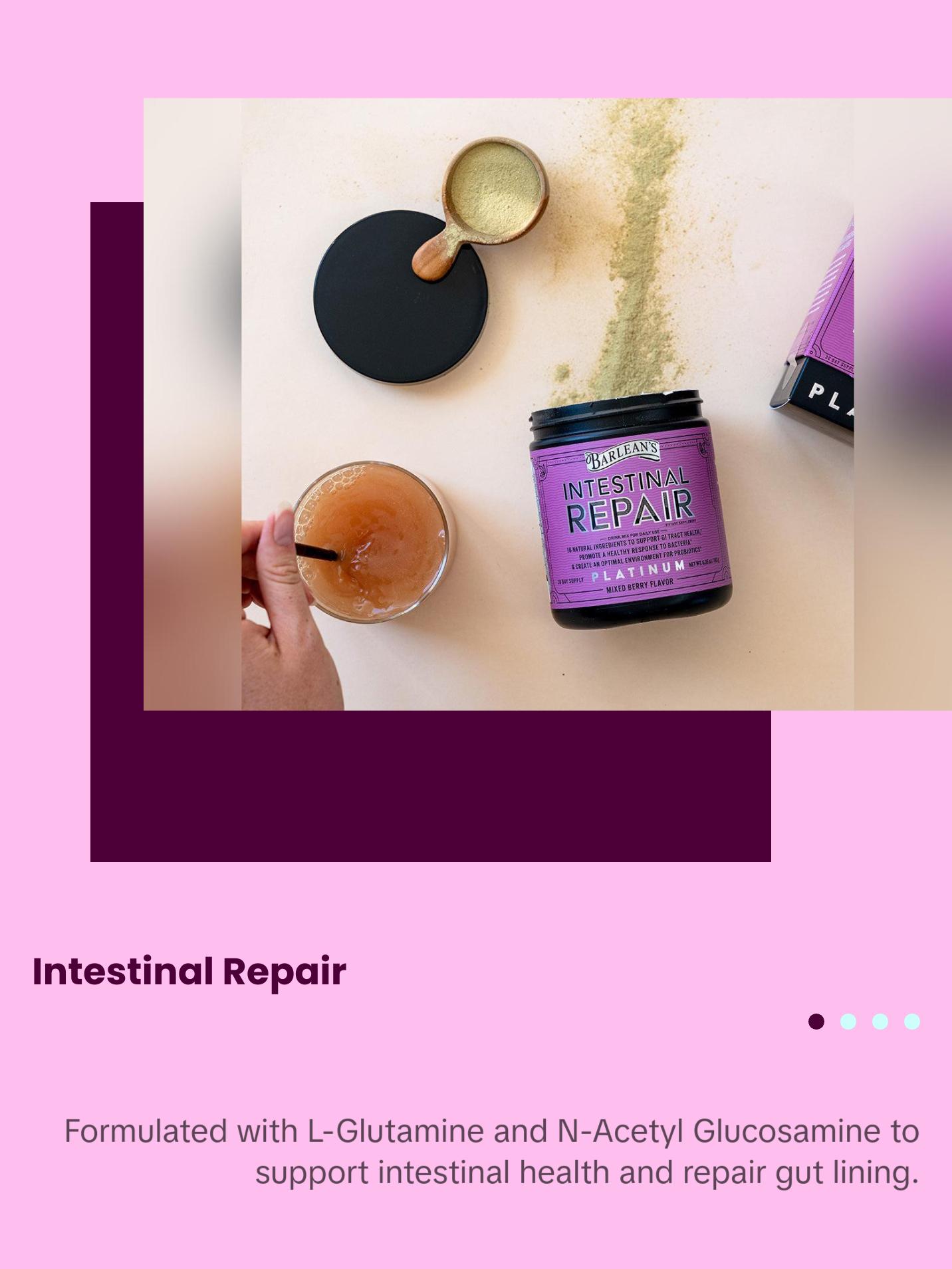 Barlean’s Intestinal Repair Gut Health Powder with 16 Digestive Supplements Healthcare Dietary