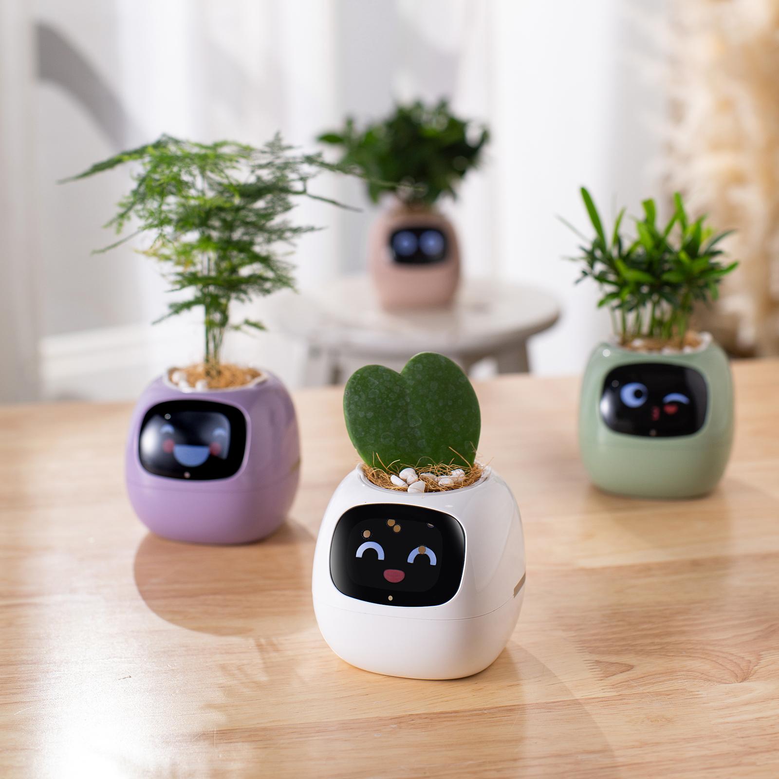 【FaddishDeal】Smart pets, flowerpots for guided plant care, cute virtual digital companions, neat desktop gifts. Home Houseplant Automation Springtok Flora Grow.