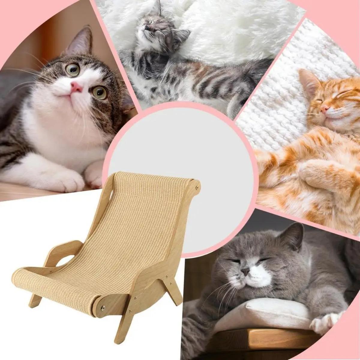 2-In-1 Cat Scratch Bed - Durable Natural Sisal Rope Beach Chair, Natural Sisal Scratching Board, Space-Saving Modern Indoor Pet Furniture for Cats