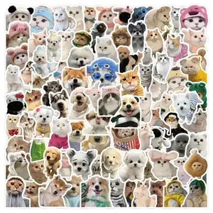 [Random 5 Stickers] Stickers