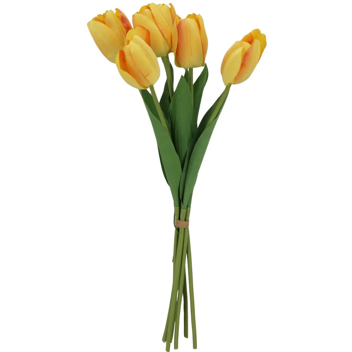 19 Inch Yellow Tulip Bundle with 6 Stems 85640-YEL