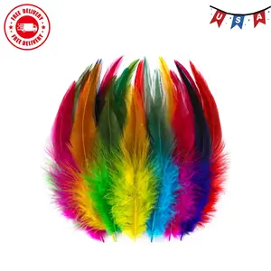Colorful Craft Rooster Feathers - 200pcs 5-7inch