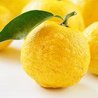 INNBEAUTY PROJECT Mineral Sun Glow Broad Spectrum Sunscreen SPF 43 PA +++ with Peptides and Vitamin C