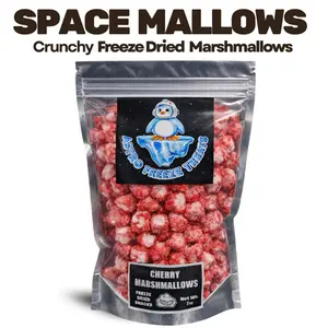 Freeze Dried Marshmallows- Pick Flavor & Size- Sweet & Sour- Astro Freeze Treats- Crunchy Candy Fruity Snack