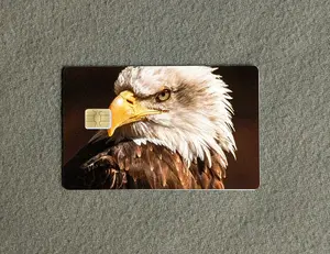 American Eagle #59 Card Protector Sticker, Overlay, Decorative Only