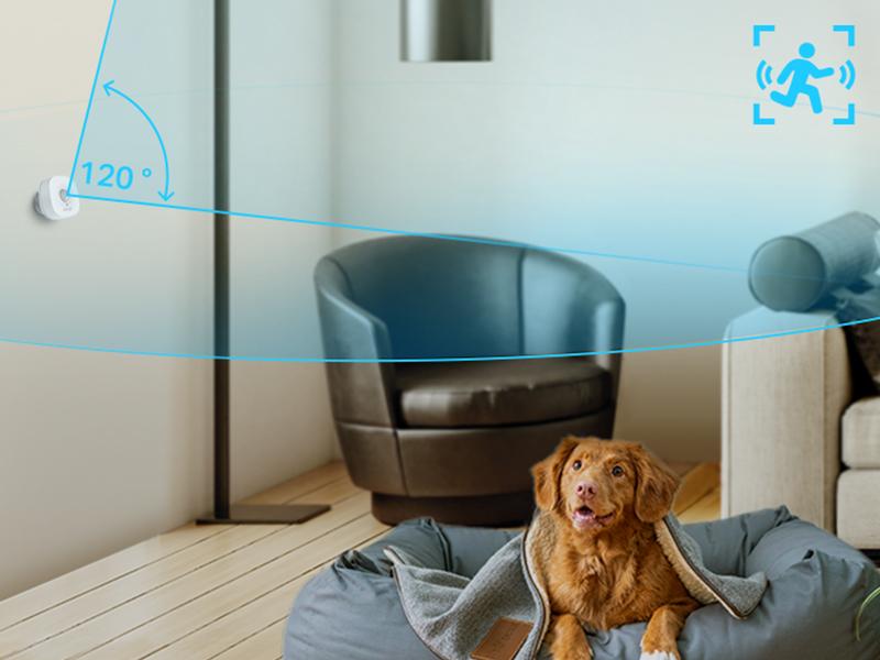 TP-Link & Tapo T100 Smart Motion Sensor – 120° Wide-Range, 3-Level Sensitivity (3/5/7 m), Sub-1G Low-Power Wireless, 2-Year Battery, Real-Time App & Hub Alarm, Magnetic/3M Mount, Requires Tapo Hub