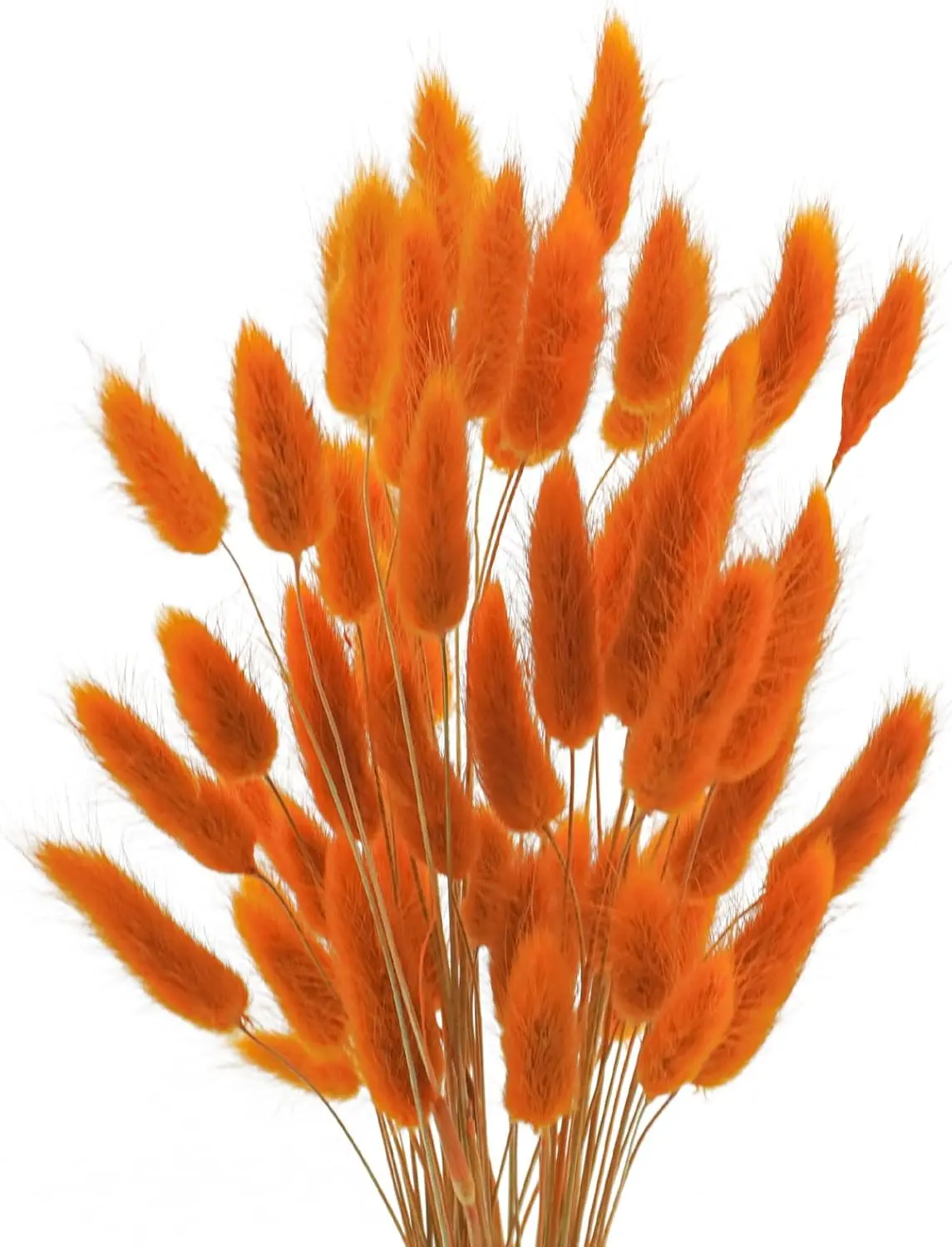 50 Pcs Artificial Fall Pampas Grass Stems, 17 Inch Faux Autumn Greenery Picks for Vases, Harvest Thanksgiving Table Centerpieces, Rustic Farmhouse Home Room Office Decor