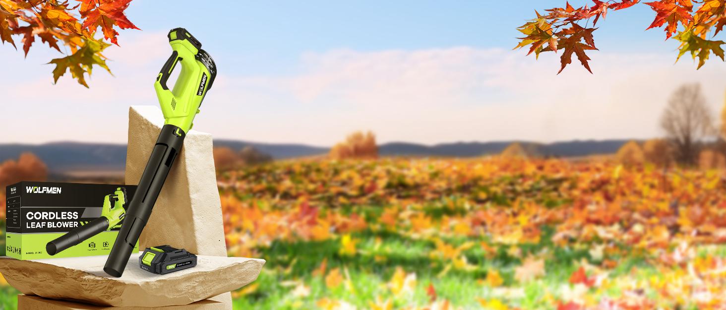 WolfeMen Leaf Blower 20V Cordless Electric Blower with 2 2.0Ah Batteries & 1 Hour Fast Charger Lightweight for Patio Cleaning Lawn Care Blowing Fallen Leaves and Dust Portable