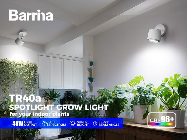 Barrina TR40a Track Grow Light for Indoor Plants, 40W Hanging Grow Lights with Adjustable Beam Angle (15°-60°), 5000K Full Spectrum Wall-Mounted Plant Light with Timer for Growing Houseplants,1-Pack