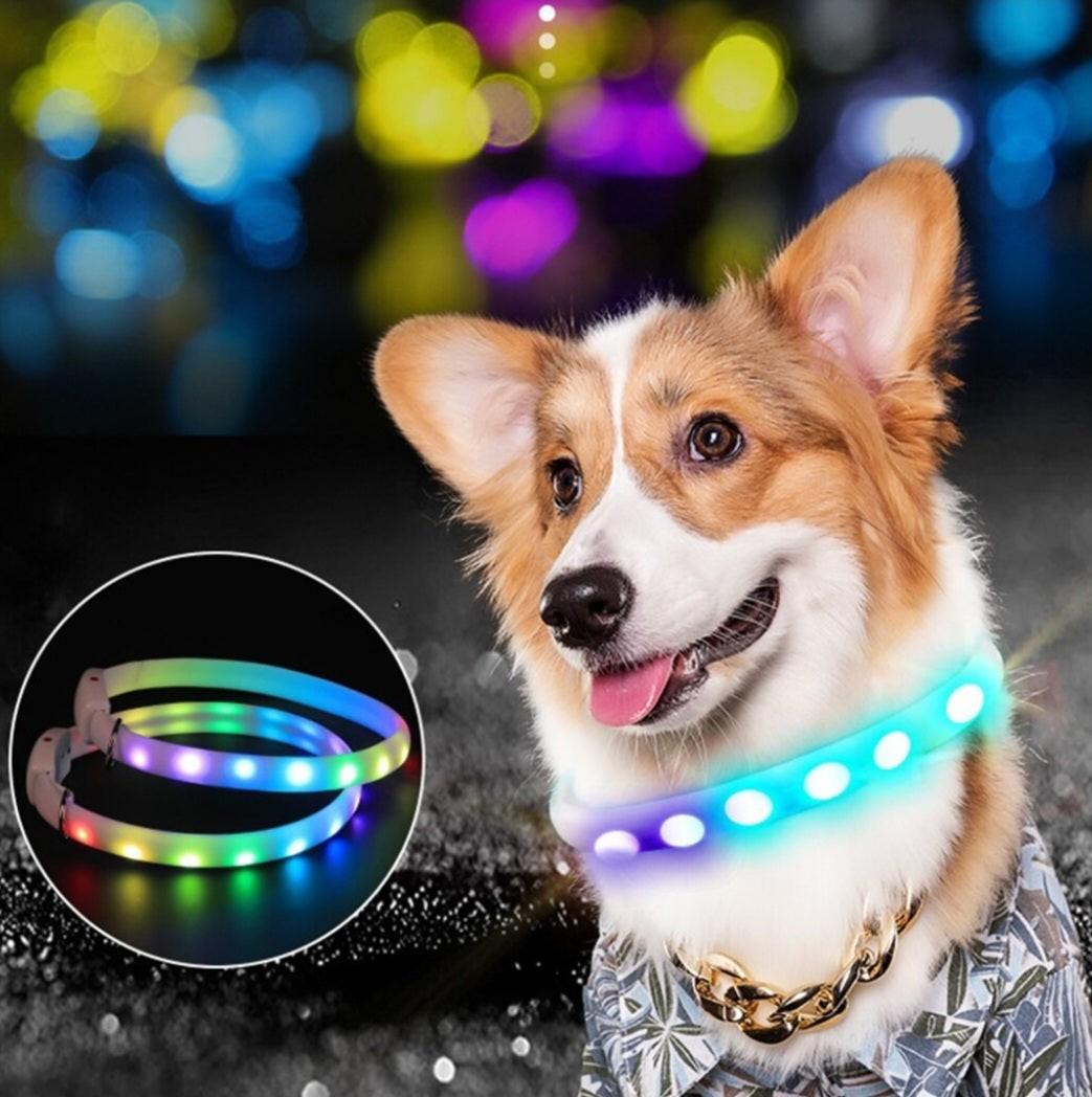 Night Safety Flashing Glow Pet Dog Collar