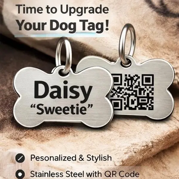 acrylic dog id tags - TikTok Shop