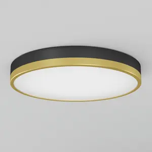 Kent LED flush mount light