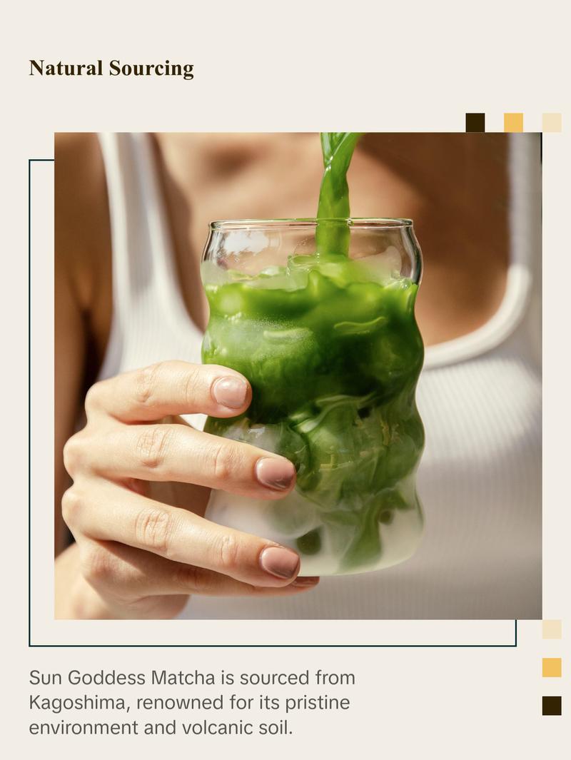 Pique Life Radiant Skin Duo Protocol - 28 Servings of B•T Fountain (1 carton) PLUS 28 Servings of Sun Goddess Matcha (1 carton)