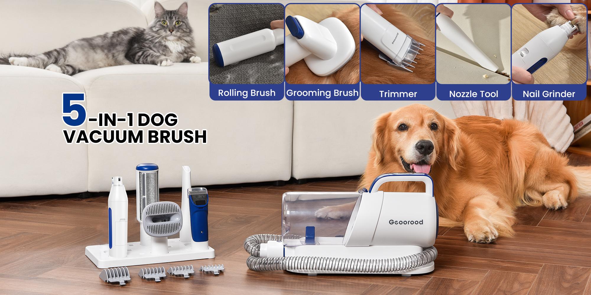 Geoorood Dog Grooming Vacuum All-in-One Kit with 10KPa Suction, 2.2L Dust Tank, Adjustable Combs, Lightweight Design, Perfect for Gifts & Home Use
