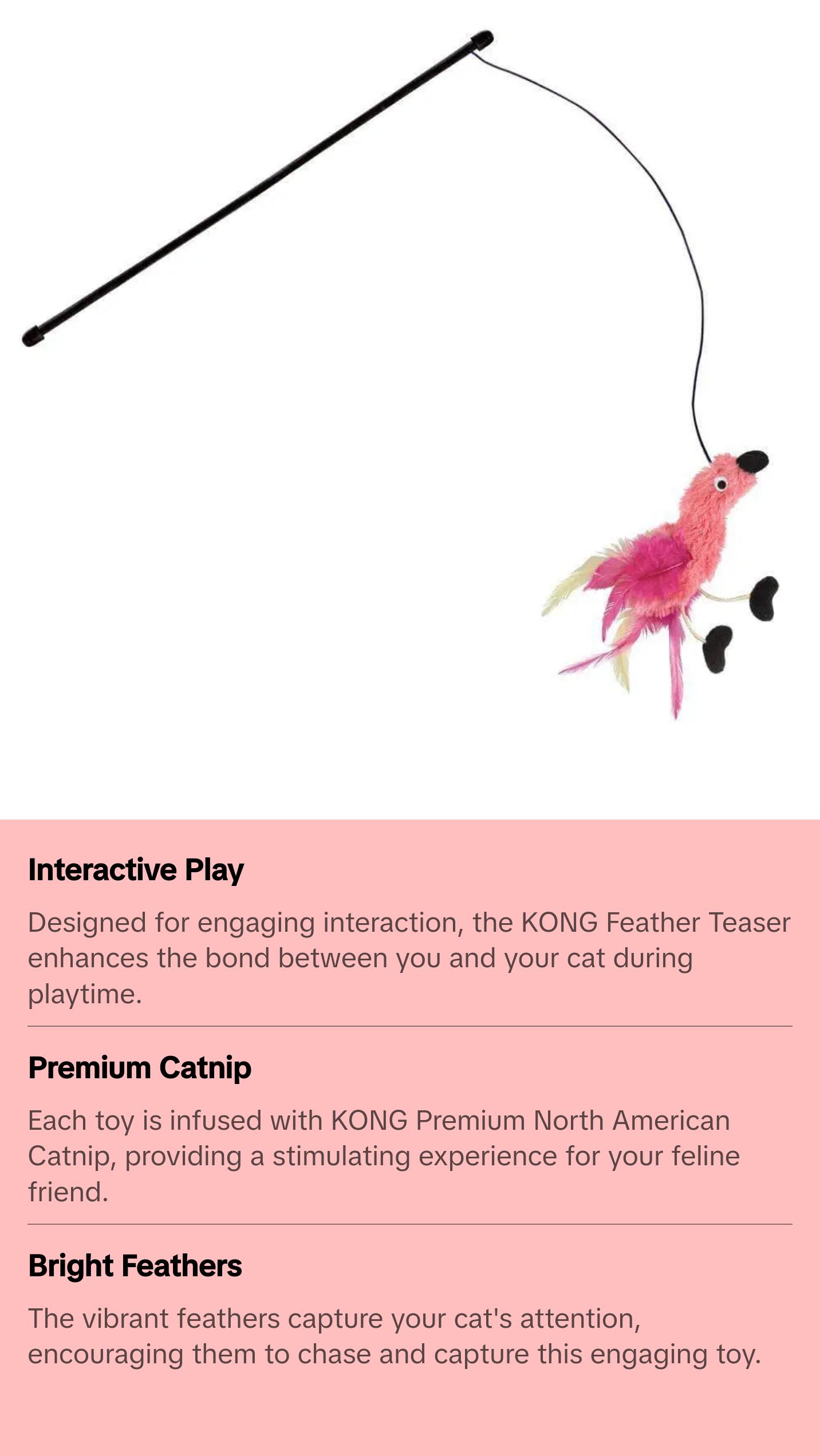 Kong® Feather Teaser Cat Toys Assorted
