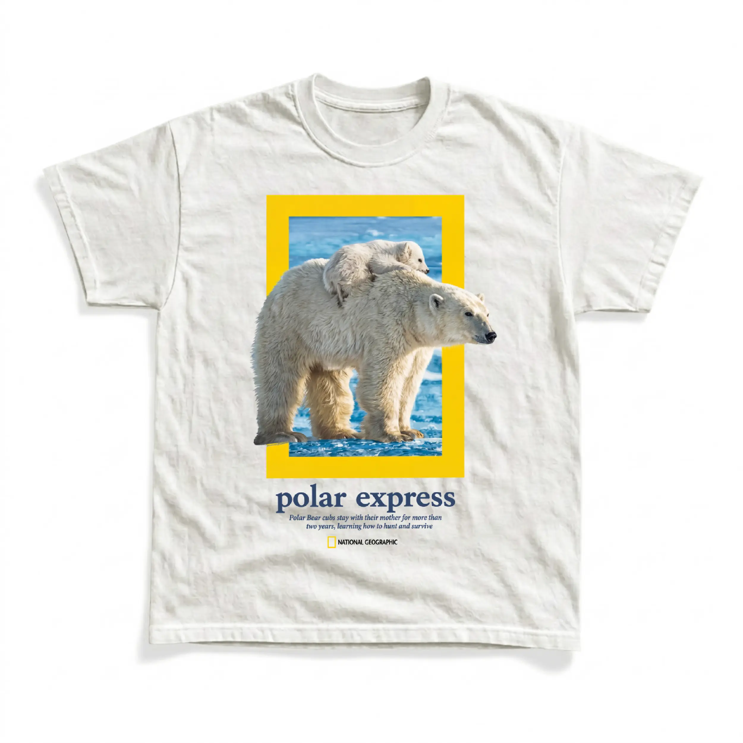 Gildan Men's and Women's T-Shirt, Vintage National Geographic Polar Express Graphic Tee, Y2K Grunge Outdoor Streetwear Shirt, Arctic Wildlife Polar Bear Tops, Retro Winter Nature Apparel, Vintage Adventure Gift Tees