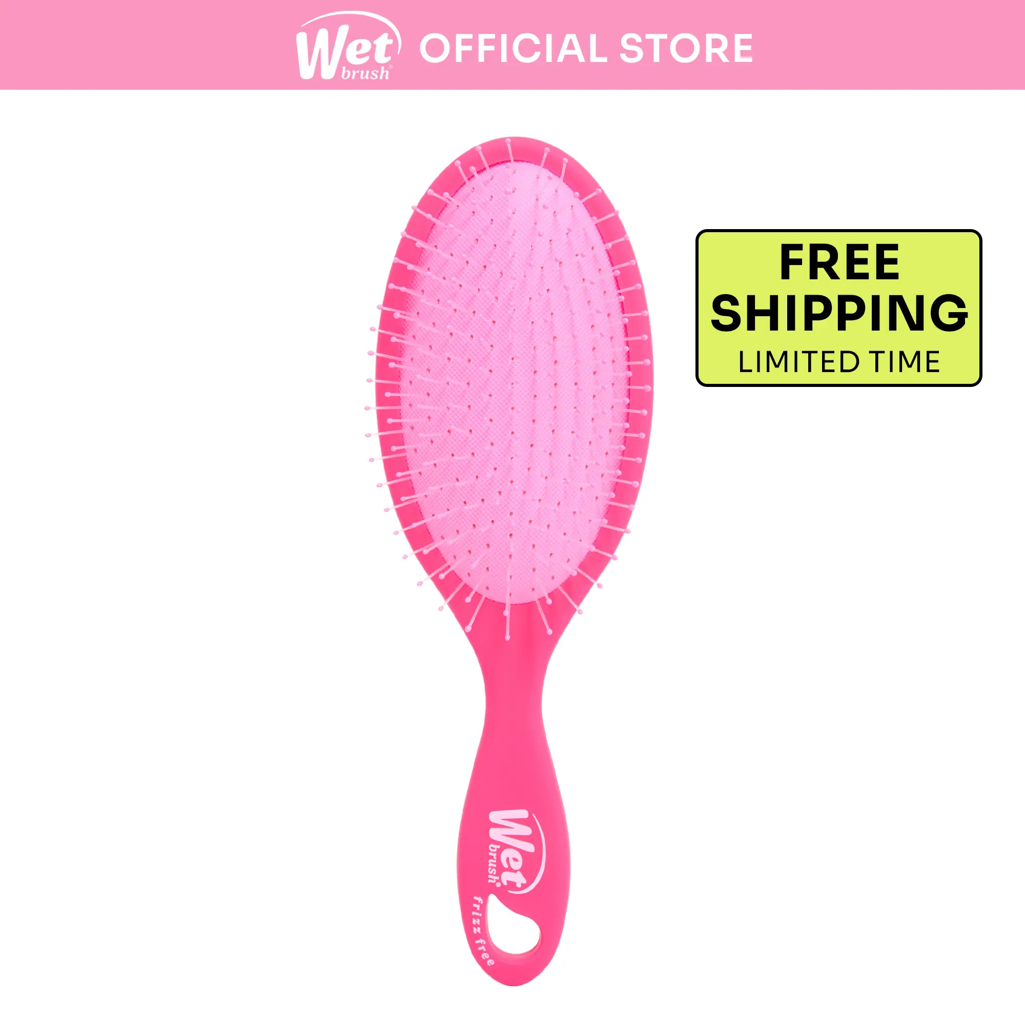 Wet Brush Frizz-Free Detangler Hair Brush