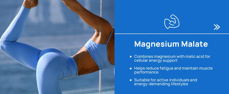 Selerb Magnesium Complex 300mg – 4 Types of Magnesium with B6, D3, Zinc, Slippery Elm – Sleep, Relaxation & Muscle Suppor Dietary t – 90 Capsules Healthcare Fitness Edible