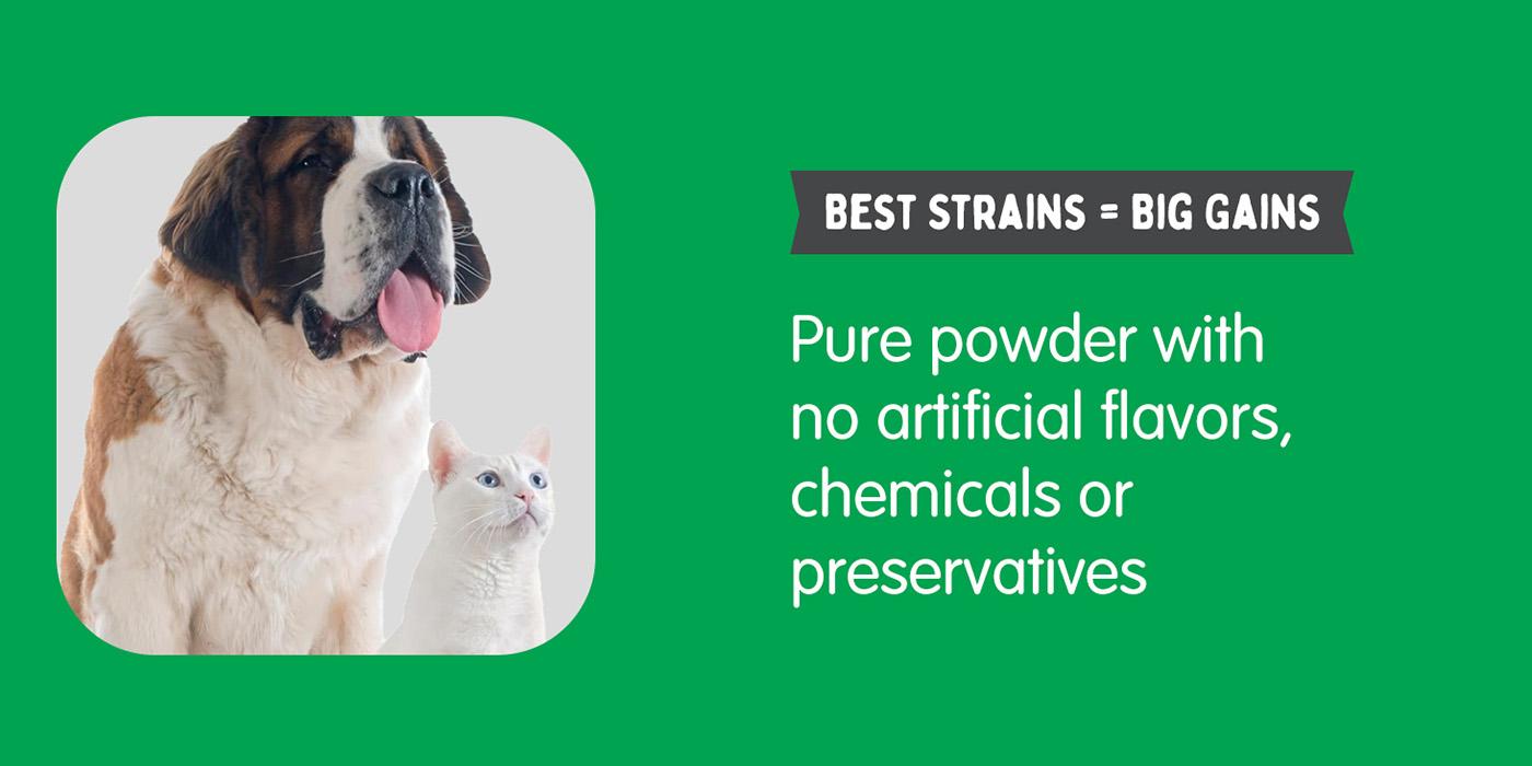 90 capsules Allergy Immunity for Dogs Daily Probiotics. Support Yeast Production Seasonal Allergies Intermittent Itching Intestinal Digestive Health Medium Dogs-BY