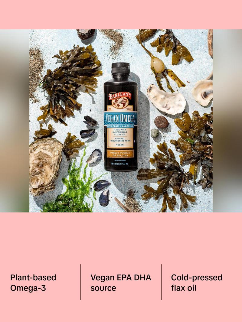 Barlean's Vegan Omega Liquid Flax and Algae Oil Plant Based EPA DHA Supplement Healthcare Fitness
